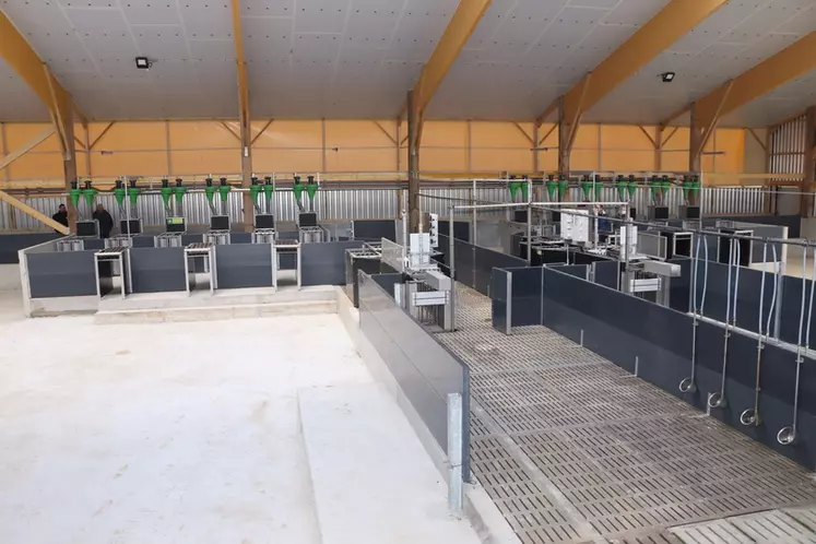 Le bâtiment d'engraissement bio est composé de six cases de 200 places. Un espace comprenant six selfifeeder GFI est dédié  à l'alimentation individuelle des porcs charcutiers.