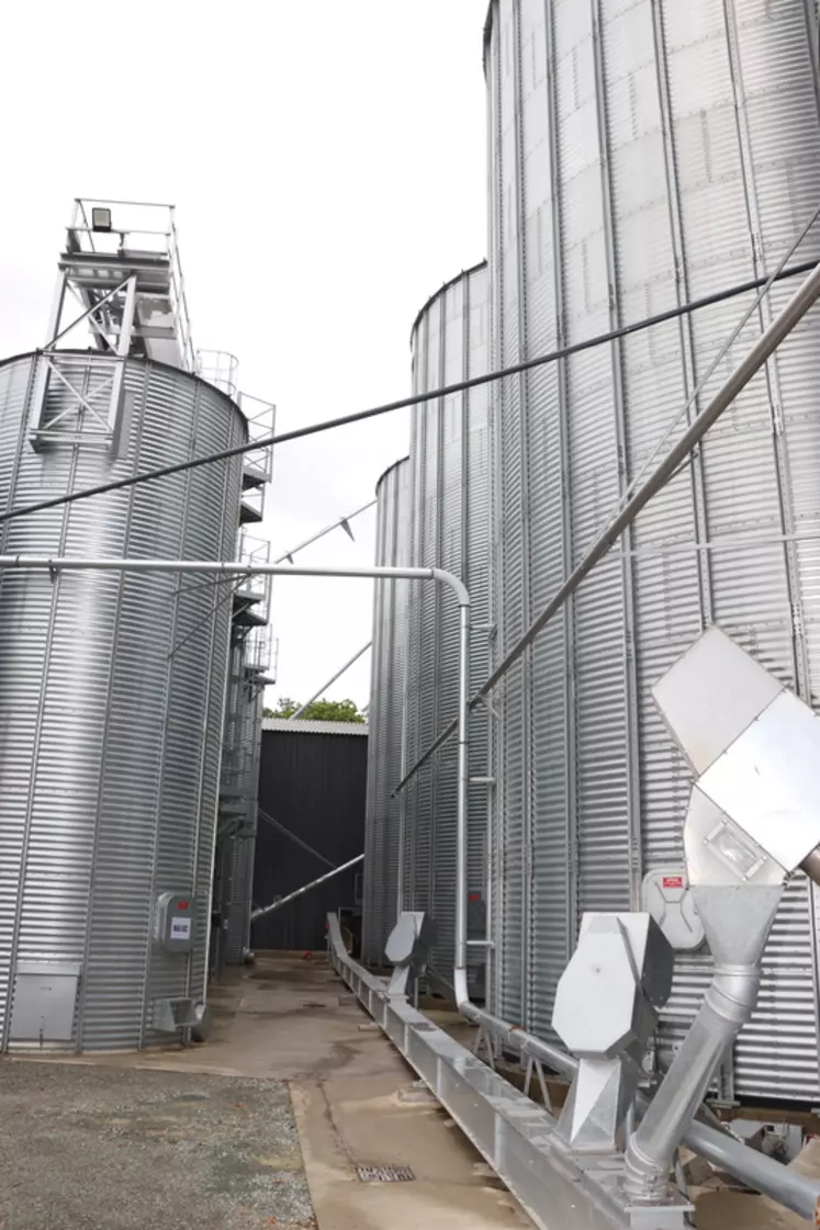 Les céréales sèches sont stockées dans des cellules extérieures, moins onéreuses que des cellules sous hangar.