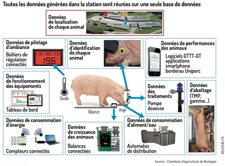 Crécom teste la localisation des porcs avec la RFID