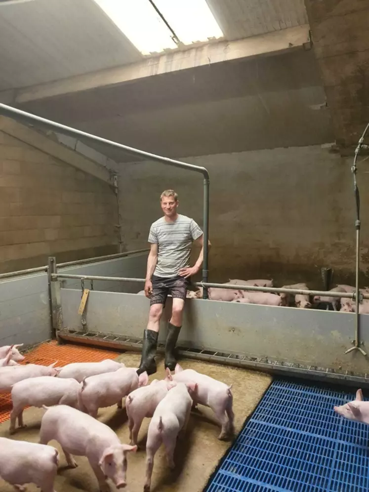 Pour prétendre à la prime BL1*, Wim doit livrer des porcs dont le poids de carcasse se situe dans une fourchette de 90 à 101 kilos.