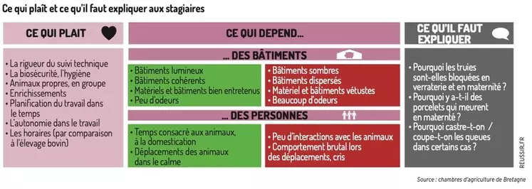 Comment valoriser son élevage de porcs auprès des stagiaires