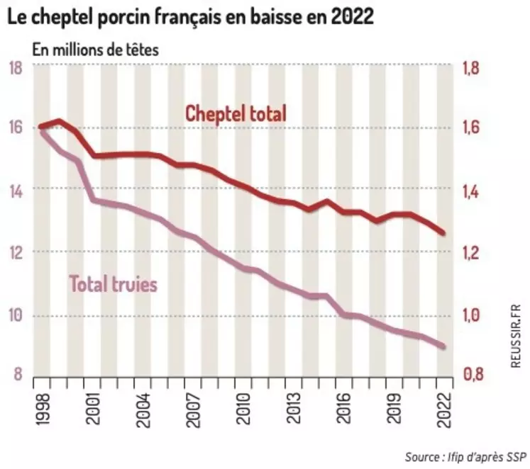 Le cheptel porcin français en baisse en 2022