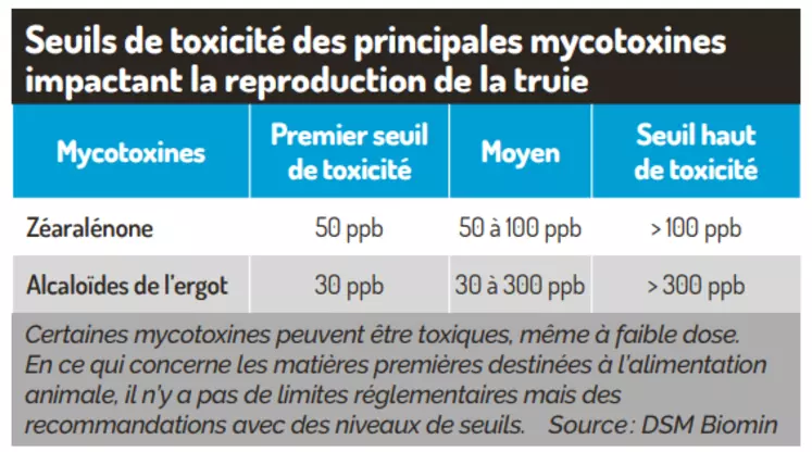Comment les mycotoxines impactent la reproduction des truies