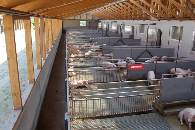 L'étiquetage permettra de distinguer la viande de porc issu d'un élevage alternatif.