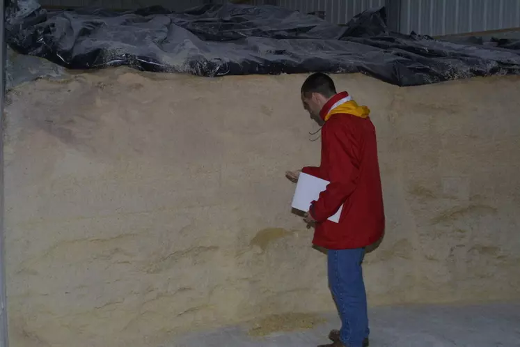 Le silo couloir pour le stockage du maïs doit être étanche et bien tassé pour éviter le risque de contact avec l’air et le développement de levures.