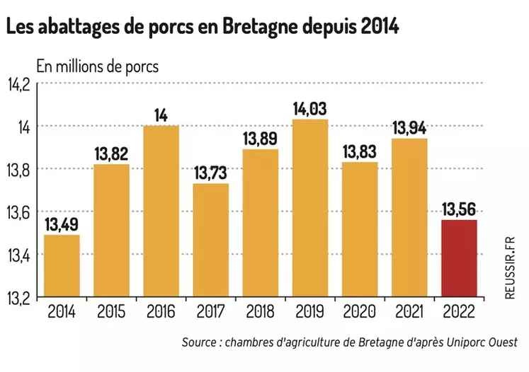 Régression des volumes abattus de porcs en Bretagne