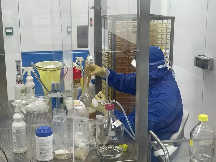 La mise en culture des bactéries se fait soit en milieu solide (boîtes en plastique brevetées) soit en milieu liquide (fermentateurs pour les lots de grand volume).