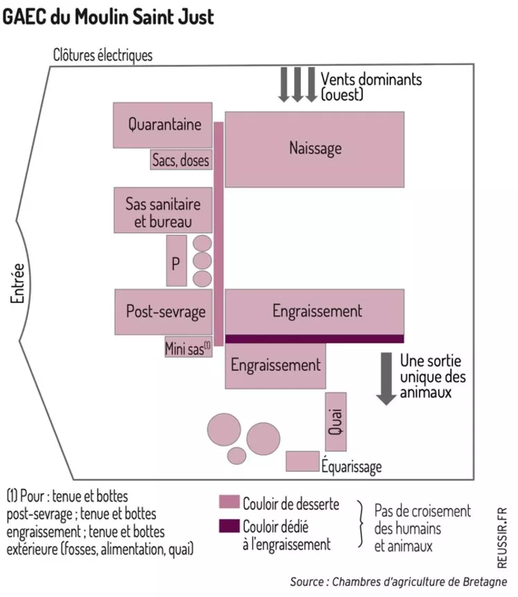 « L’historique de mon élevage de porc facilite la biosécurité »