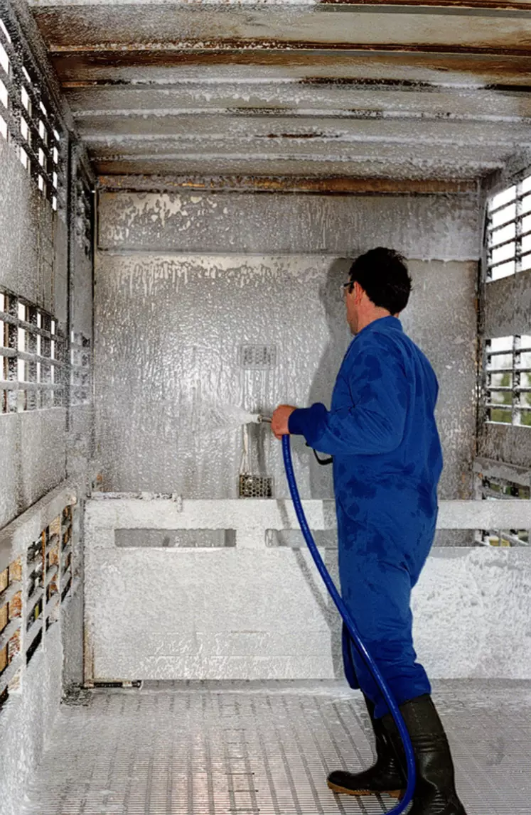 L'Ifip propose aux transporteurs et aux abatteurs des outils pour optimiser le lavage et la désinfection des moyens de transport d'animaux.