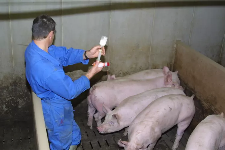 L’Anses confirme la baisse de l’exposition des animaux d’élevage aux antibiotiques