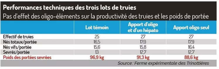 Cures d’oligo-éléments : cibler les truies à risque