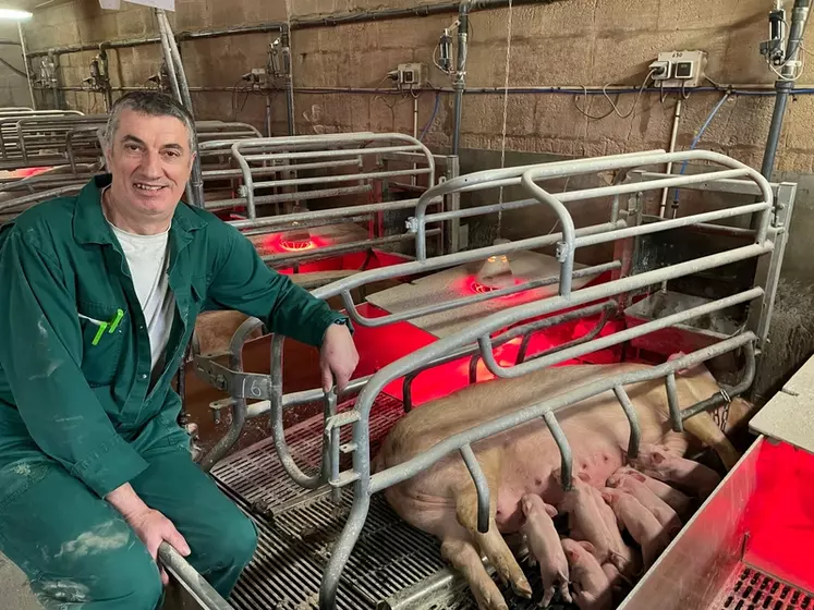 Yannick Onno, responsable d’élevage de la SCEA Porc-Yvel. « Grâce aux qualités maternelles des truies, nous intervenons peu en maternité, ce qui dégage du temps pour ...