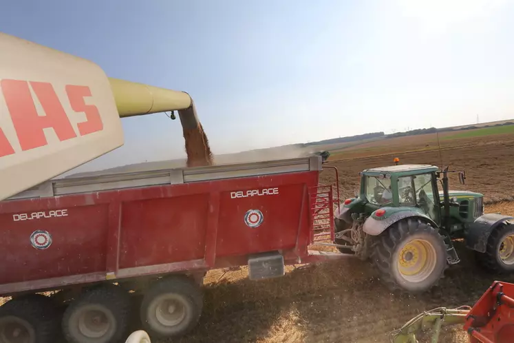Agriculteur moissonnant une parcelle de ble couchee par les dernieres pluie de juillet dans les plaines cerealieres de la Marne.Le rendement moyen est de 90 quintaux par ...