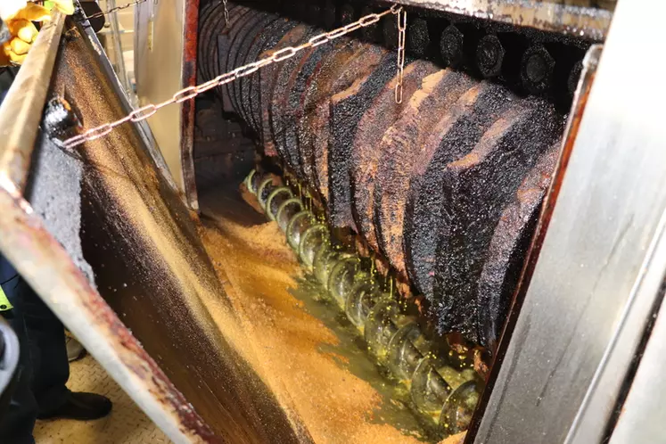 3-Les graines chauffées sont envoyées dans une presse à triturer qui permet d’extraire l’huile qui sera ensuite filtrée. Le tourteau ressort sous forme de pâte qui ...