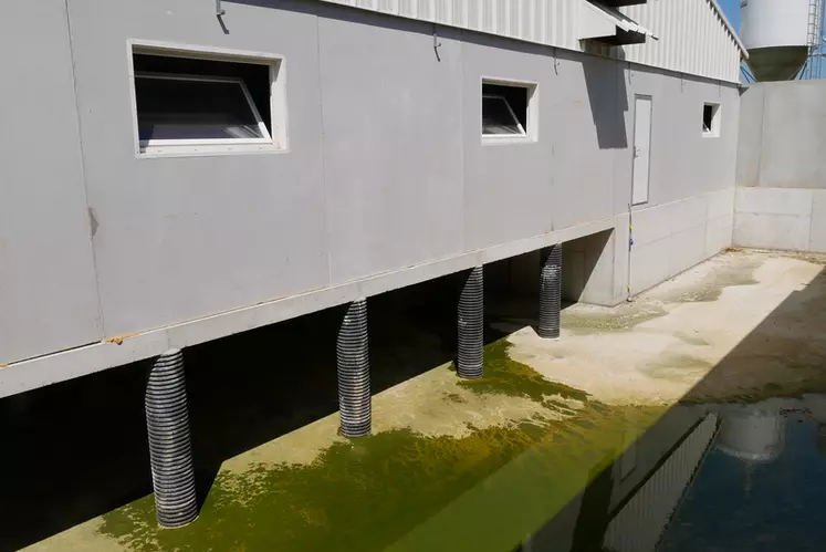 Après traitement, les eaux pluviales stockées dans une réserve de 300 m3 sous le local alimentation du post-sevrage seront recyclées pour le trempage et le lavage des ...