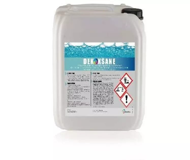 Notre sélection de nouveautés génétiques et sanitaires pour les élevages de porcs au Space