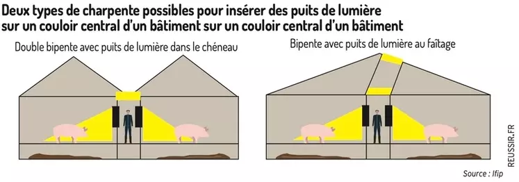 Quatre solutions innovantes pour augmenter la lumière naturelle dans les élevages de porcs