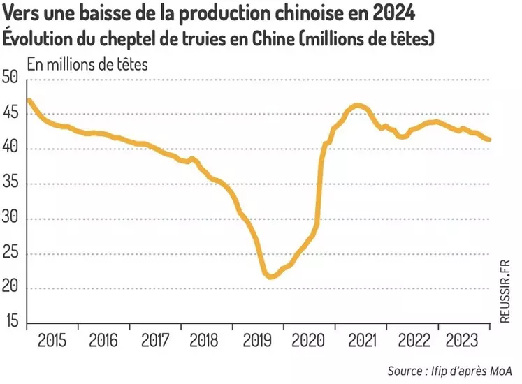 Vers une baisse de la production chinoise en 2024 Evolution du cheptel de truies en Chine (millions de têtes)