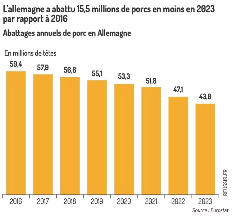 L'Allemagne a abattu 15,5 millions de porcs en moins en 2023 par rapport à 2016