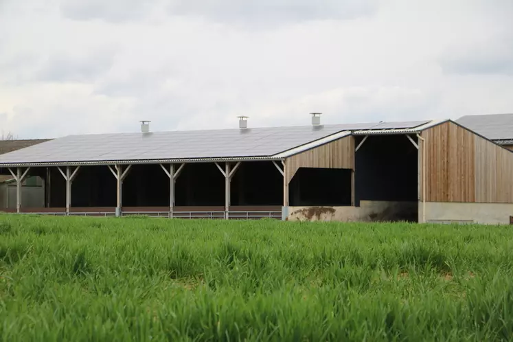 Le bâtiment d'engraissement sur paille avec courettes extérieures produit de l'électricité photovoltaïque.  