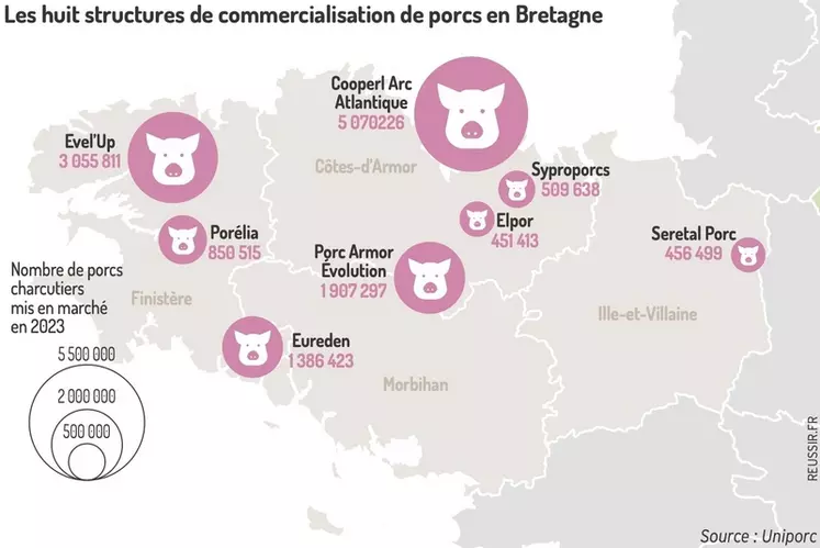 Les huit structures de commercialisation de porcs en Bretagne