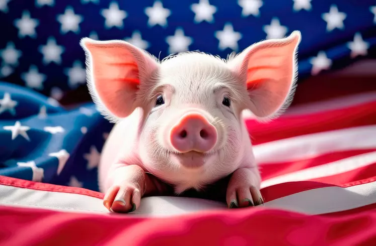 National Pig Day in the USA, little pig, home farm, American flag