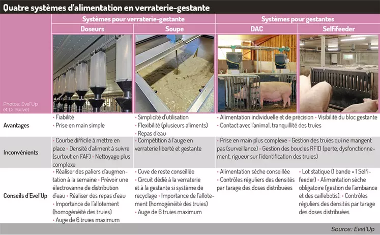 Quatre systèmes d’alimentation en verraterie-gestante