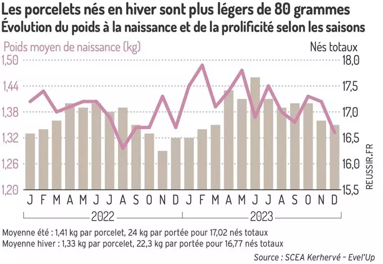 Les porcelets nés en hiver sont plus légers de 80 grammes

Évolution du poids à la naissance et de la prolificité selon les saisons

(ajouter en légende : Moyenne été ...