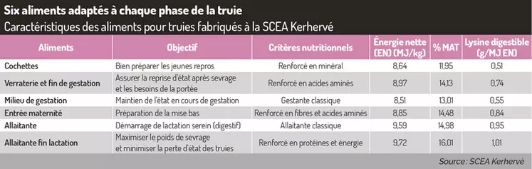Six aliments adaptés à chaque phase de la truie

Caractéristiques des aliments pour truies fabriqués à la SCEA Kerhervé