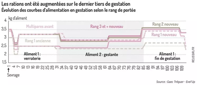 Les rations ont été augmentées sur le dernier tiers de gestation

Évolution des courbes d'alimentation en gestation selon le rang de portée 
