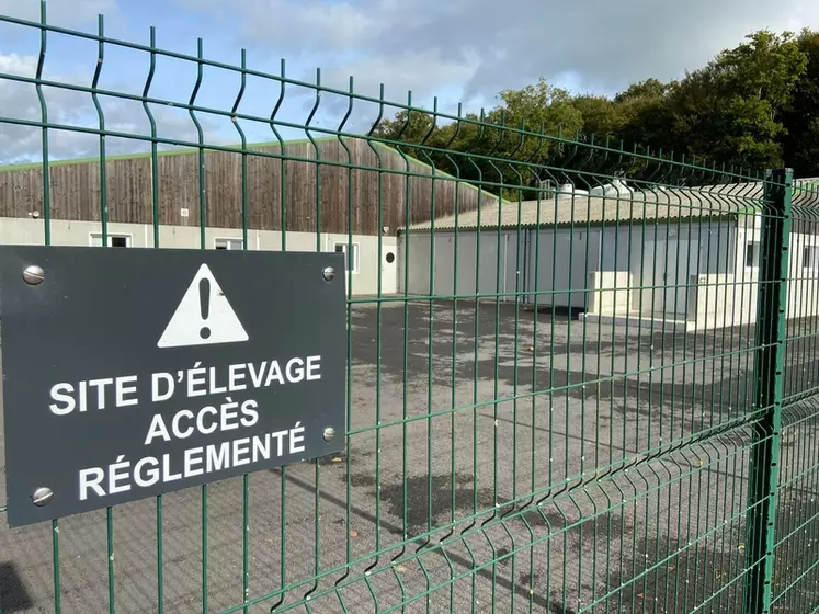 Près de 7 000 élevages de porcs français ont été audité sur leur niveau de biosécurité.