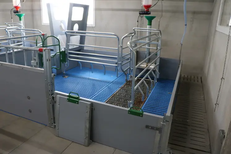 <em class="placeholder">La case mise bas liberté dispose d’une alimentation individuelle par doseur connecté Wintofeed et d’un nid à porcelets de 1,1 m2 avec sol chauffant et capot.</em>