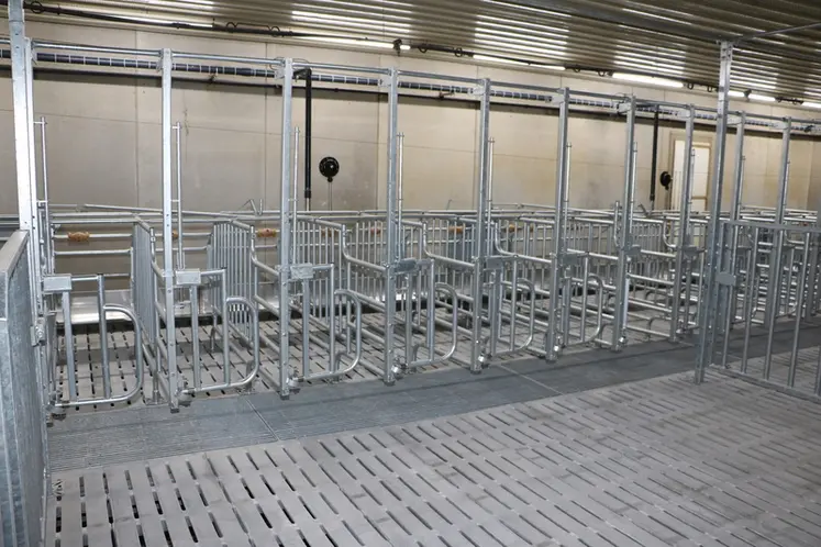<em class="placeholder">Les truies en verraterie sont également conduites en liberté. Réparties par cases de six, elles disposent d’une alimentation en soupe.</em>