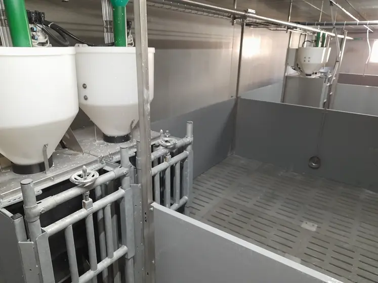 <em class="placeholder">Les salles d’engraissement des verrats de sélection disposent de stations Dac pour la mesure individuelle de l’indice de consommation 30-115 kilos.</em>