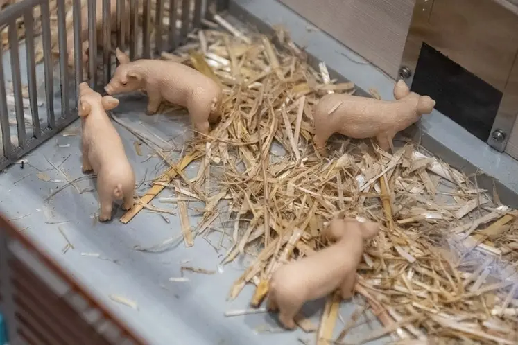 <em class="placeholder">Les innovations porc et biogaz primées au salon Eurotier 2024</em>