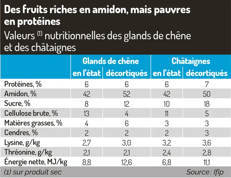 <em class="placeholder">Des fruits riches en amidon, mais pauvres en protéinesValeurs nutritionnelles des glands de chênes et des châtaignes</em>