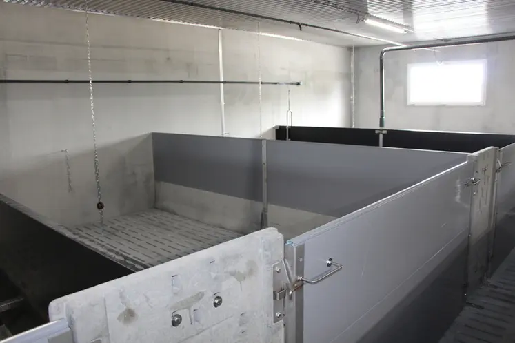 <em class="placeholder">Avec le nouveau bâtiment, les porcs à l’engraissement disposent désormais de 0,75 m²/porc de surface utile.</em>