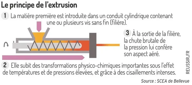 <em class="placeholder">Le principe de l&#039;extrusion</em>