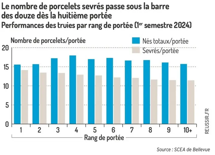 <em class="placeholder">Le nombre de porcelets sevrés passe sous la barre des 12 dès la huitième portéePerformances des truies par rang de portée (1er semestre 2024)</em>