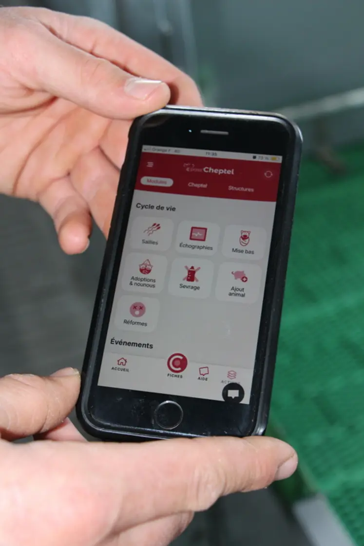 <em class="placeholder">L&#039;application Pass’Cheptel aide l&#039;éleveur à réformer les truies selon leurs performances et leur comportement.</em>