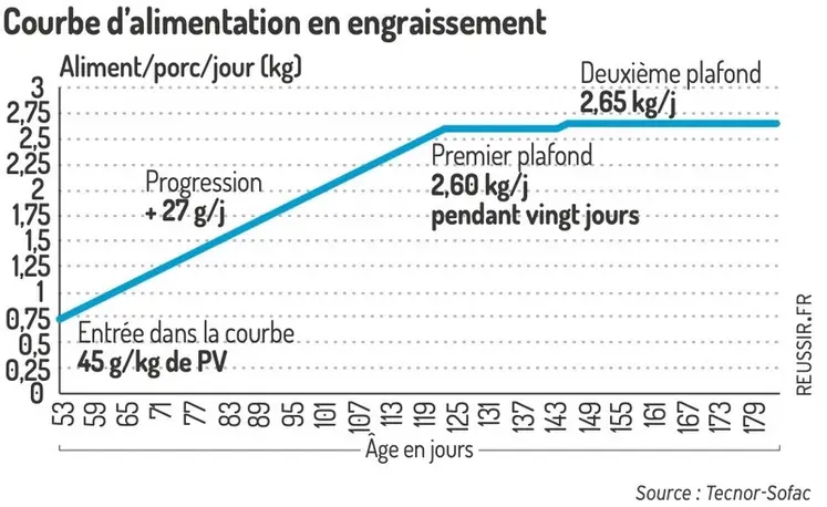 <em class="placeholder">Courbe d&#039;alimentation en engraissement</em>