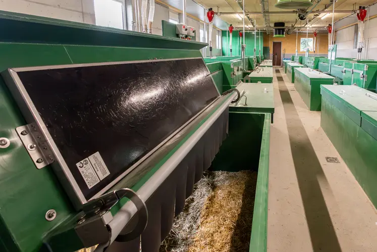 <em class="placeholder">Les innovations porc et biogaz primées au salon Eurotier 2024</em>