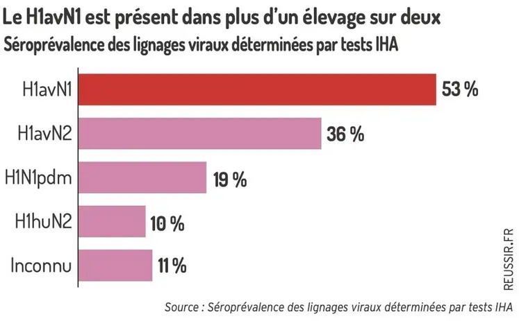 <em class="placeholder">Le H1avN2 est présent dans plus d&#039;un élevage sur deuxSéroprévalence des lignages viraux déterminées par tests IHA </em>