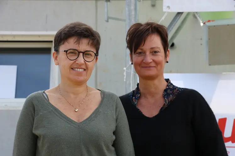 <em class="placeholder">Florence Mayette et Anne Bouché, de Nutréa : « Les lésions Sins constituent un indicateur « iceberg », révélateur de la qualité des porcelets à la naissance et au ...</em>