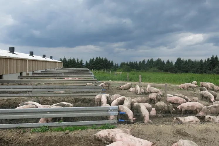 <em class="placeholder">Quelques éleveurs de ce profil estiment que le bâtiment doit pourvoir s’ouvrir sur des parcours extérieurs</em>