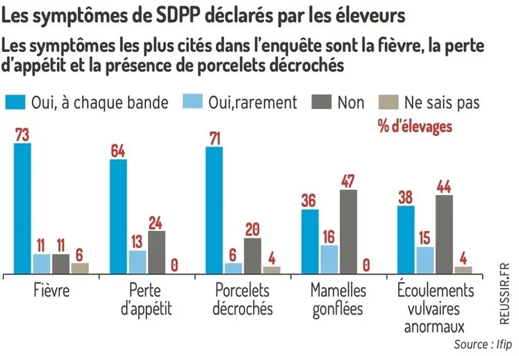 <em class="placeholder">Les symptômes les plus cités dans l’enquête sont la fièvre, la perte d’appétit et la présence de porcelets décrochés.Les symptômes de SDPP déclarés par les ...</em>
