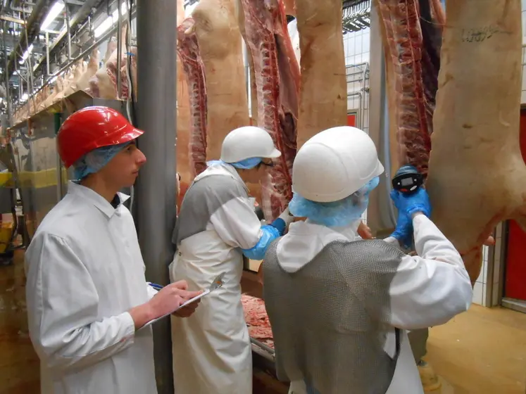 <em class="placeholder"> males entiers nez humain abattoir ugpvb arip</em>