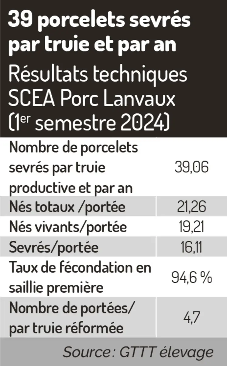 <em class="placeholder">Résultats techniques SCEA Porc Lanvaux (1er semestre 2024)39 porcelets sevrés par truie et par an</em>