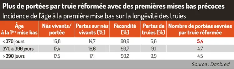 <em class="placeholder">Incidence de l’âge à la première mise-bas sur la longévité des truiesPlus de portées par truie réformées avec des premières mises bas précoces</em>