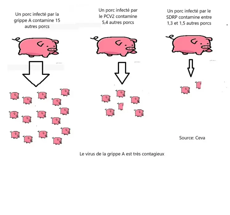 <em class="placeholder">Le virus de la grippe A est très contagieux</em>